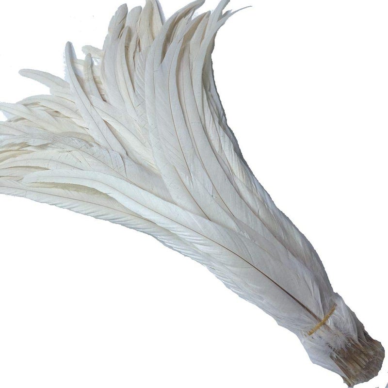 Shekyeon 12-14inch Rooster Tail Feather Used Hats Costume Decoration Pack of 50(Beige/Ivory) - Image 1